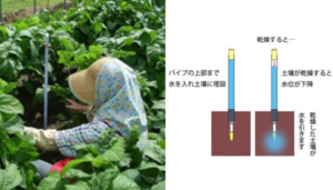 土壌水分目視計の仕組みと圃場での利用イメージ